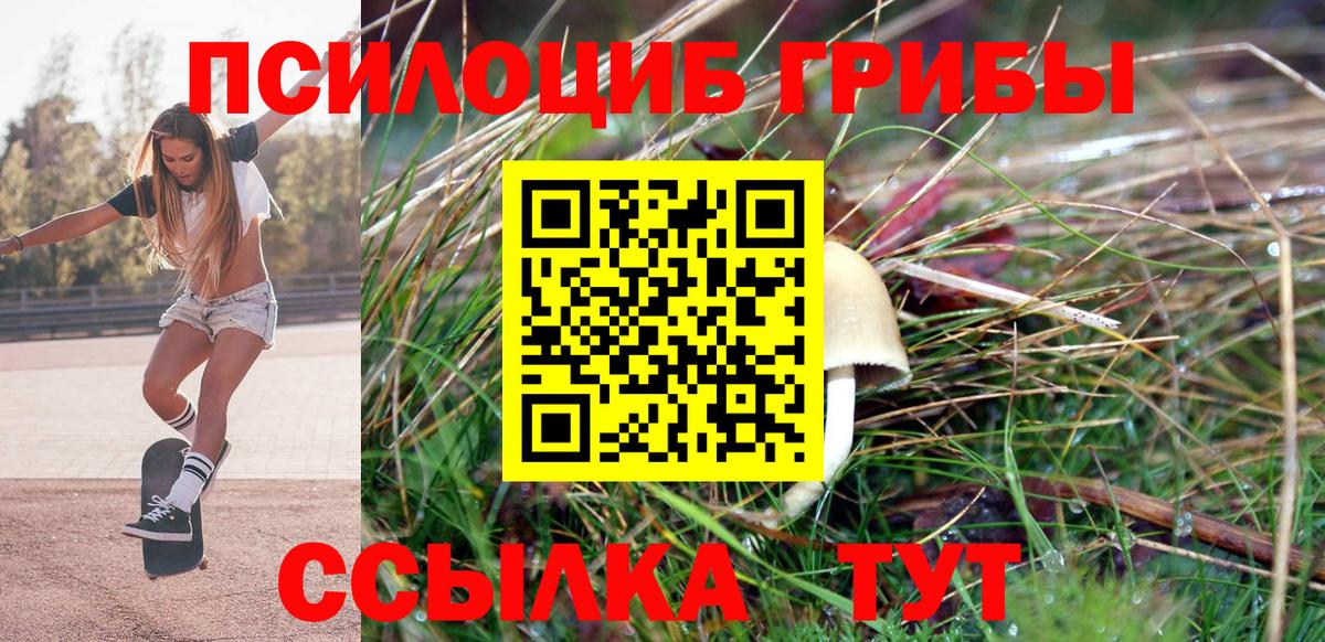 Фролово  хочу наркоту  Вход с VPN  Галлюциногенные грибы Magic Shrooms 