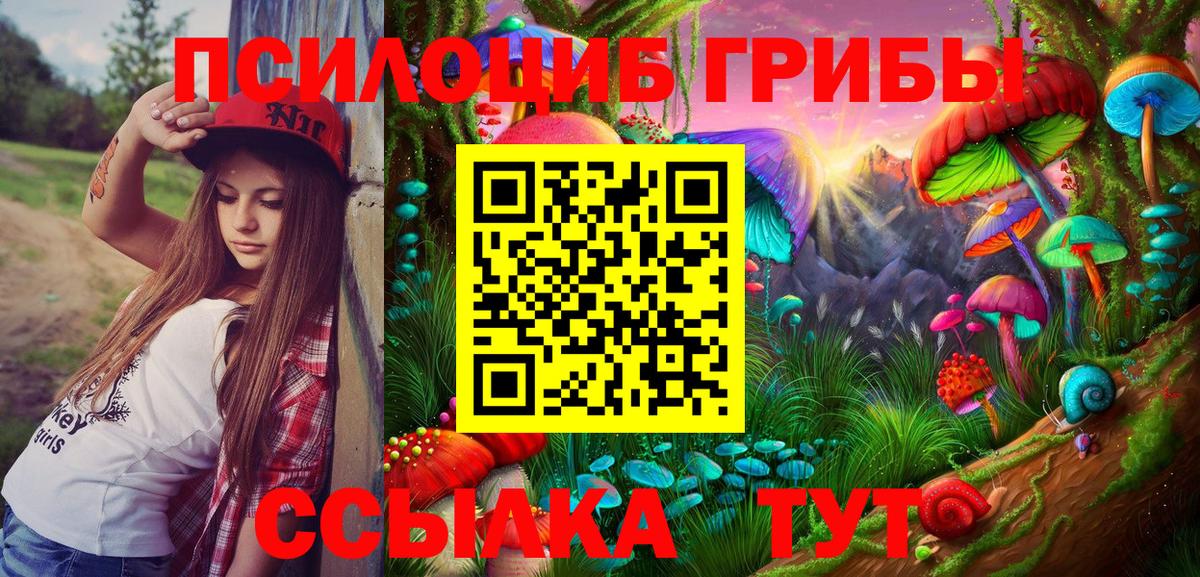 Галлюциногенные грибы прущие грибы Фролово